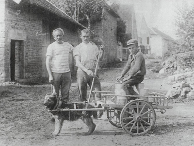 1910 Transport du lait au chalet