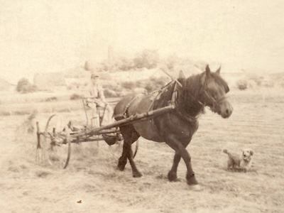 1950 La faneuse de Emmanuel ANTOINE