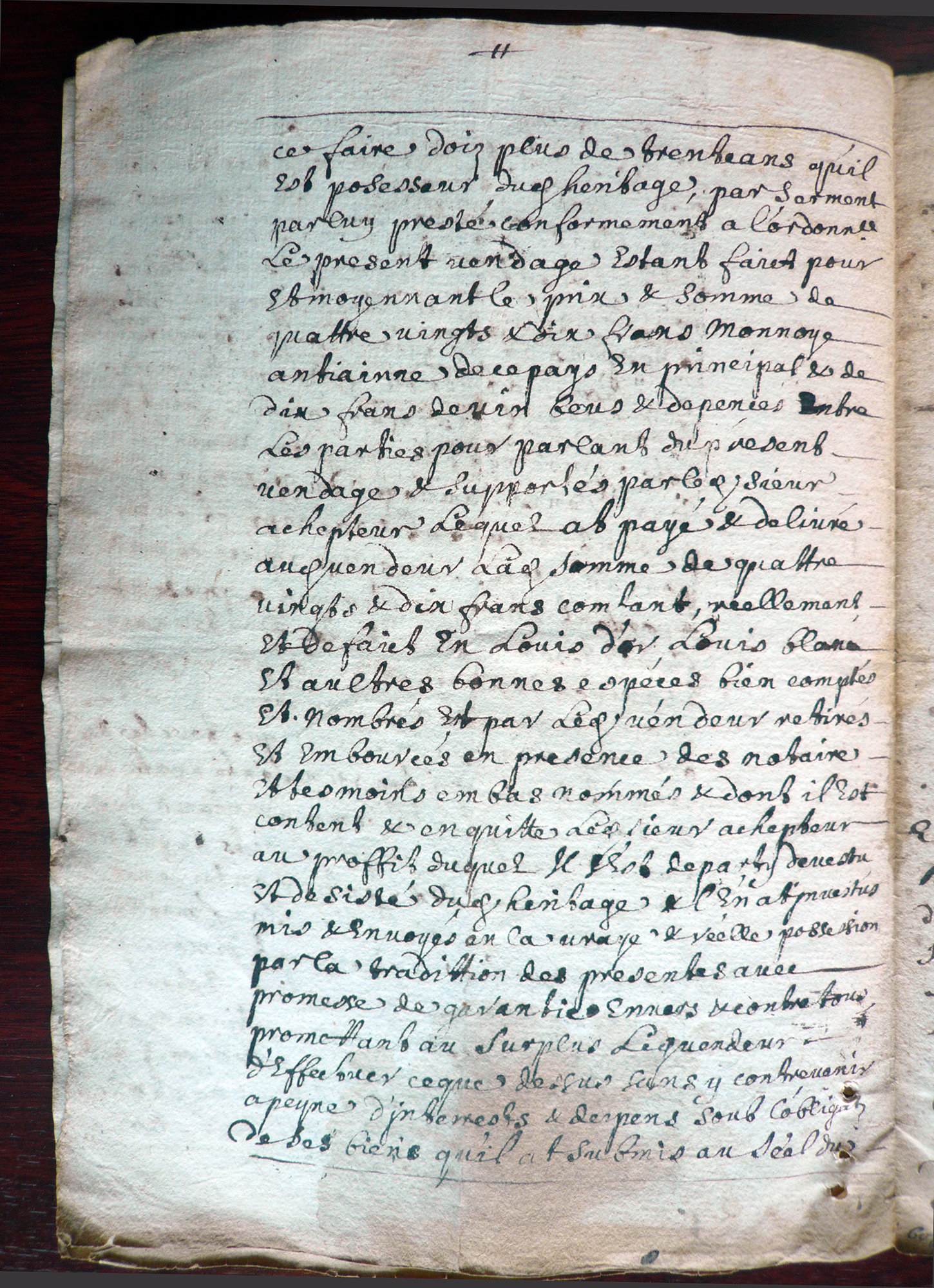 P1040718